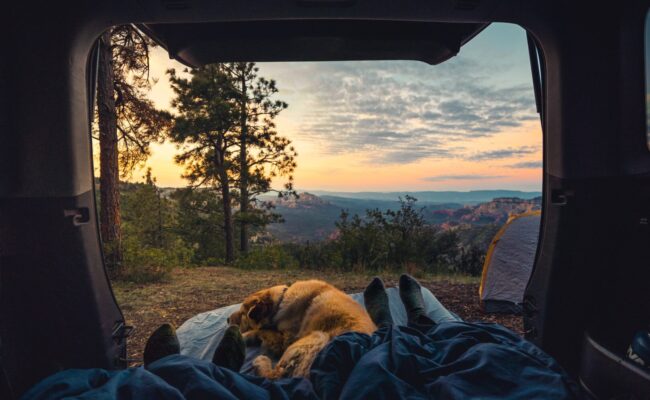 Sonnenaufgang aus einem Camper mit Mensch und Hund fotografiert
