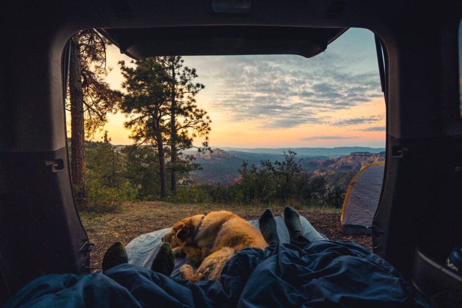 Sonnenaufgang aus einem Camper mit Mensch und Hund fotografiert