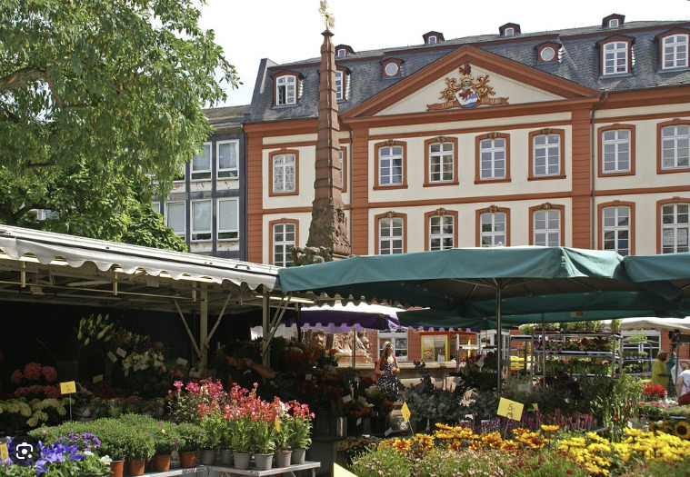 Liebfrauenberg - Blumenmarkt in Frankfurt. Es wurden ein paar Stände fotografiert.